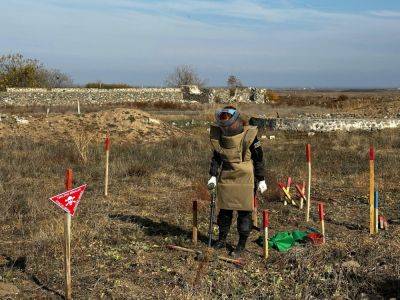 Названо количество обезвреженных за неделю мин на освобожденных землях Азербайджана - trend.az - Азербайджан
