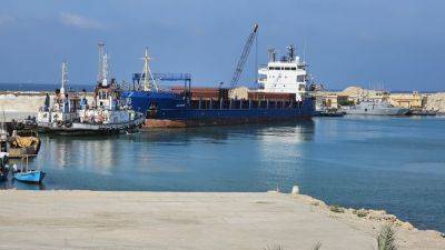 В Египет прибыло судно Турецкого Красного Полумесяца с гумпомощью для сектора Газа - trend.az - Египет - Турция