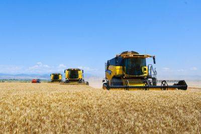 Иран занял 7-е место в мире по запасам зерна - trend.az - Иран - Китай