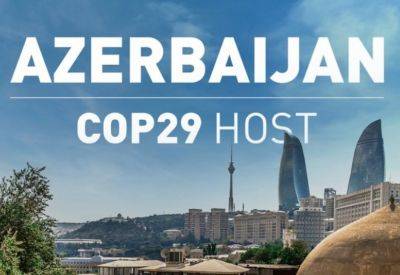 Проведение COP29 в Азербайджане является показателем большого доверия к стране - Гамза Юсубова - trend.az - Азербайджан - Баку
