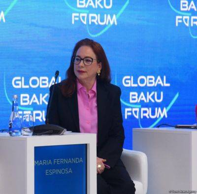 Каждой стране необходимо учитывать взятые на себя обязательства - Мария Фернанда - trend.az - Азербайджан - Президент - Баку