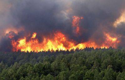 Из-за лесного пожара в Китае эвакуировали более трех тысяч человек - trend.az - Китай