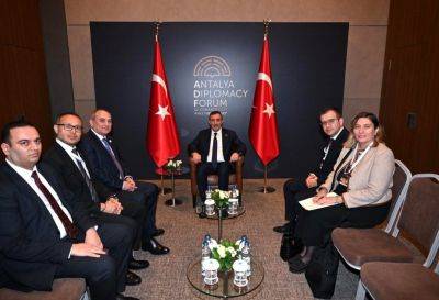 Ильхам Алиев - Джевдет Йылмаз - Тахир Будагов - Вице-президент Турции принял делегацию ПЕА - trend.az - Турция - Азербайджан - Президент