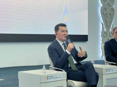 Госсоветник рассказал о реализуемых Казахстаном экономических реформах в 2024 году (ФОТО) - trend.az - Казахстан - Астана - Президент