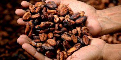 Все против любителей шоколада: какао стоит уже дороже меди - detaly.co.il - Гана - Кот Дивуар