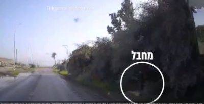 Момент теракта на шоссе 90 попал на видео - mignews.net