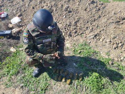 На территории города Хырдалан обнаружено 12 гранат - МЧС Азербайджана (ВИДЕО) - trend.az - Азербайджан