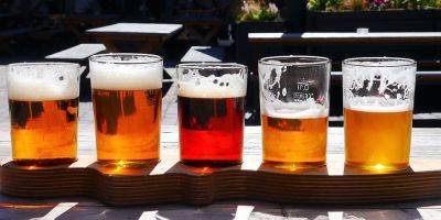 Исследователи используют искусственный интеллект для улучшения вкуса пива - detaly.co.il - Бельгия
