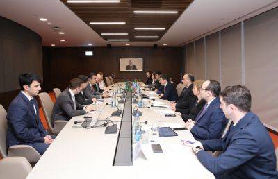 Эльнур Алиев - Азербайджан и Бразилия обсудили сотрудничество по "зеленому" финансированию в рамках COP29 (ФОТО) - trend.az - Бразилия - Азербайджан
