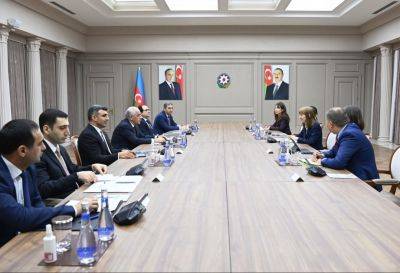 Али Асадов - Антонелла Бассани - Али Асадов провел обсуждения с вице-президентом ВБ - trend.az - Азербайджан