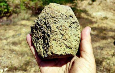 В Украине найдены каменные орудия возрастом около 1,4 млн лет - mignews.net - Украина - Франция - Испания - Румыния - Чехия - Прага