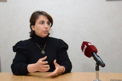 Инара Велиева - Названа основная цель Цифрового кодекса в Азербайджане - trend.az - Азербайджан - Президент