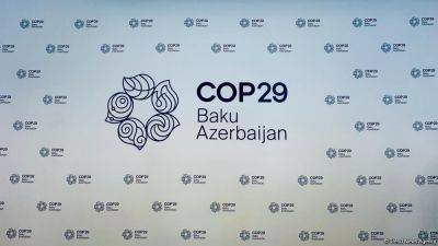 Представлен логотип COP29 (ФОТО) - trend.az - Азербайджан