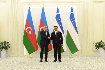 Джейхун Байрамов - Бахтиер Саидов - Азербайджан и Узбекистан обсудили вопросы расширения сотрудничества в различных сферах (ФОТО) - trend.az - Азербайджан - Узбекистан
