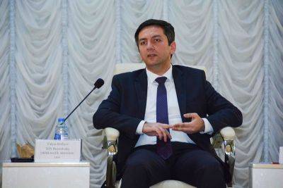 Я.Рафиев - Азербайджан в рамках проведения COP29 подходит к переговорному процессу со всеми участниками через призму нейтральности - Ялчин Рафиев - trend.az - Азербайджан