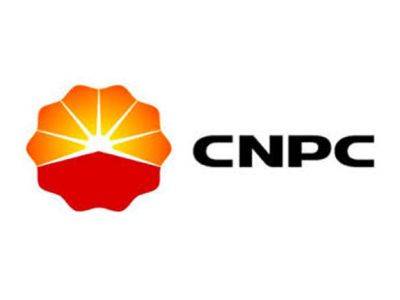 Китайская CNPC приступила к поиску углеводородных месторождений на юго-западе Таджикистана - trend.az - Китай - Таджикистан