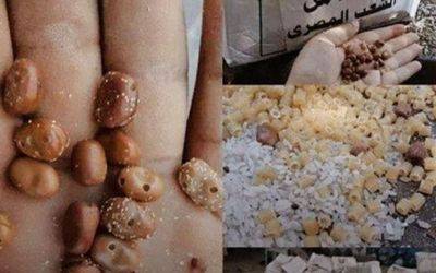 Палестинцы возмущены: Газе передали просроченные продукты с червями - mignews.net
