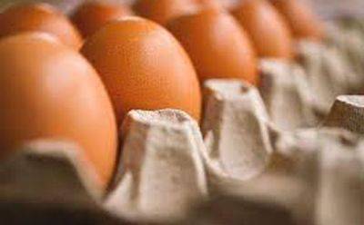 Изъяты свыше 130 тысяч контрабандных яиц из ПА - mignews.net - Израиль - Палестина
