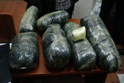 Вилаят Эйвазов - В Азербайджане из незаконного оборота изъяты более 1 тонны наркотиков - trend.az - Азербайджан