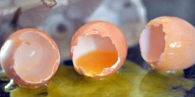 Инспекторы минсельхоза нашли пиратский сортировочный центр и уничтожили 90 000 контрабандных яиц - detaly.co.il - Израиль - Палестина