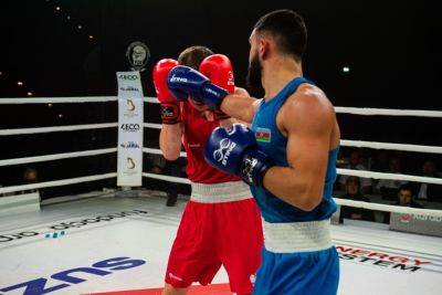 Малик Гасанов - Три азербайджанских боксера вышли в 1/4 финала чемпионата Европы - trend.az - Сербия - Азербайджан - Ирландия - Грузия - Белград