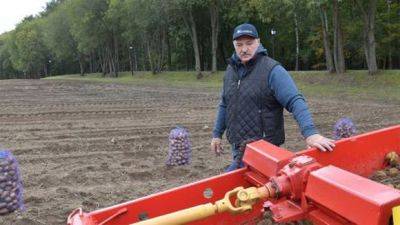 Александр Лукашенко - Лукашенко перепутал картошку с нефтью - mignews.net - Белоруссия
