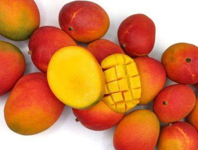 Волшебное влияние манго на организм - mignews.net