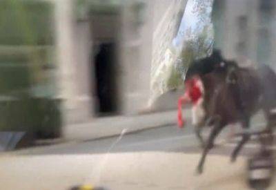 Пять взбесившихся лошадей королевской гвардии носятся по центру Лондона - mignews.net - Лондон