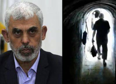 Источник в ХАМАС: Синвар посещает районы боевых действий - nashe.orbita.co.il - Катар - Хамас