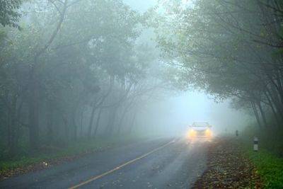В Азербайджане из-за тумана видимость на некоторых автомагистралях будет ограничена - trend.az - Азербайджан
