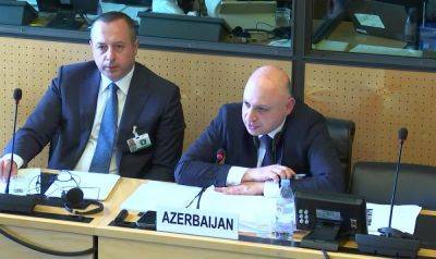 Самир Шарифов - Азербайджан придает большое значение сотрудничеству с соответствующими договорными органами ООН по правам человека - МИД - trend.az - Азербайджан - Женева