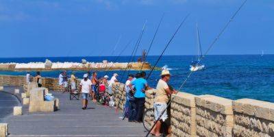 На Средиземном море на четыре месяца запрещена рыбалка, но есть исключения - detaly.co.il