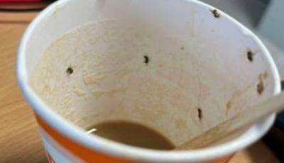 Женщина чуть не умерла выпив кофе из чашки с жучками в аэропорту Майорки - mignews.net