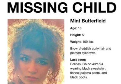 Дочь основательницы Flickr исчезла в наркотических джунглях Сан-Франциско - mignews.net - Сан-Франциско - штат Калифорния