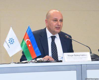 Председатель Агентства Азербайджана по разминированию назвал число жертв мин - trend.az - Азербайджан
