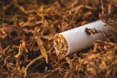 В Азербайджане создается Реестр импортеров и производителей табачных изделий - trend.az - Азербайджан