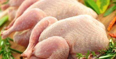В импортированной из Беларуси замороженной курятине обнаружена сальмонелла - trend.az - Белоруссия - Азербайджан