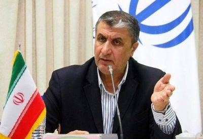 Мохаммад Эслами - Иран разрешил 130 инспекторам МАГАТЭ работать в стране - trend.az - Иран