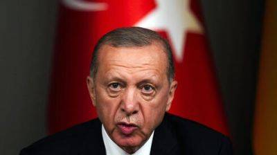 Тайип Эрдоган - Болат Омер - В обход Эрдогана: в Израиле придумали, как доставлять товары из Турции - vesty.co.il - Израиль - Турция - Анкара - Президент
