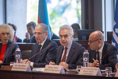 Фатих Бирол - Мухтар Бабаев - Фатих Бирол высоко оценил первый диалог высокого уровня МЭА-COP29 - trend.az - Азербайджан - Рио-Де-Жанейро - Президент
