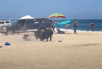 Ужас на пляже: бык напал на отдыхавшую туристку - mignews.net - Мексика