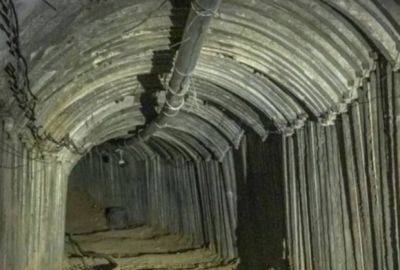 В Рафиахе обнаружены 50 тоннелей - mignews.net - Египет