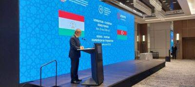 Микаил Джаббаров - У Азербайджана и Таджикистана есть потенциал для реализации промышленных проектов - Микаил Джаббаров - trend.az - Сша - Азербайджан - Таджикистан - Баку