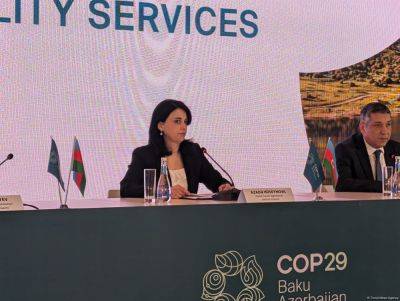 Азада Гусейнова - COP29 покажет потенциал Азербайджана в таких областях, как экотуризм, агротуризм и устойчивый туризм - trend.az - Азербайджан - Рио-Де-Жанейро