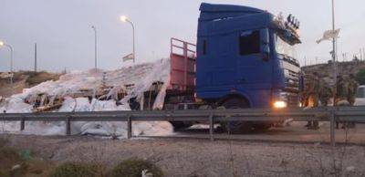 Израильтяне “разгружают” грузовики с гуманитаркой для “голодающей Газы” - mignews.net - Сша