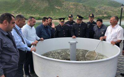В Суговушанское водохранилище выпустили мальков рыб - trend.az - Азербайджан - район Тертерский