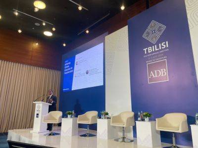 Необходимо полностью вовлечь в «зеленый переход» страны со средним уровнем дохода - Авинаш Персо - trend.az - Тбилиси - Президент
