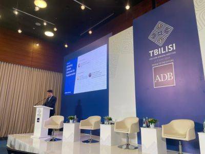 Климатический кризис становится все более критичным перед нашими глазами - генеральный управляющий директор АБР - trend.az - Тбилиси