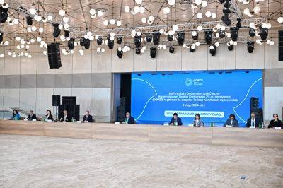 Ильхам Алиев - Самир Нуриев - Состоялось третье заседание оргкомитета COP29 (ФОТО) - trend.az - Азербайджан - Президент