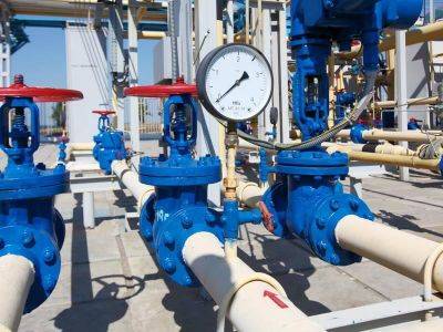 Турция готова экспортировать избыточные запасы газа из России и Азербайджана - trend.az - Россия - Украина - Евросоюз - Турция - Азербайджан